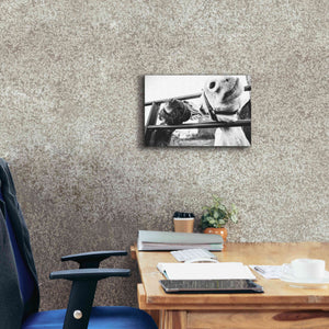 'Feeding Donkeys' by Donnie Quillen Canvas Wall Art,18 x 12