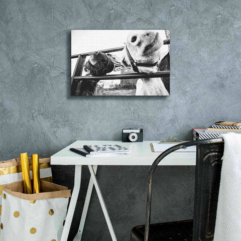 Image of 'Feeding Donkeys' by Donnie Quillen Canvas Wall Art,18 x 12