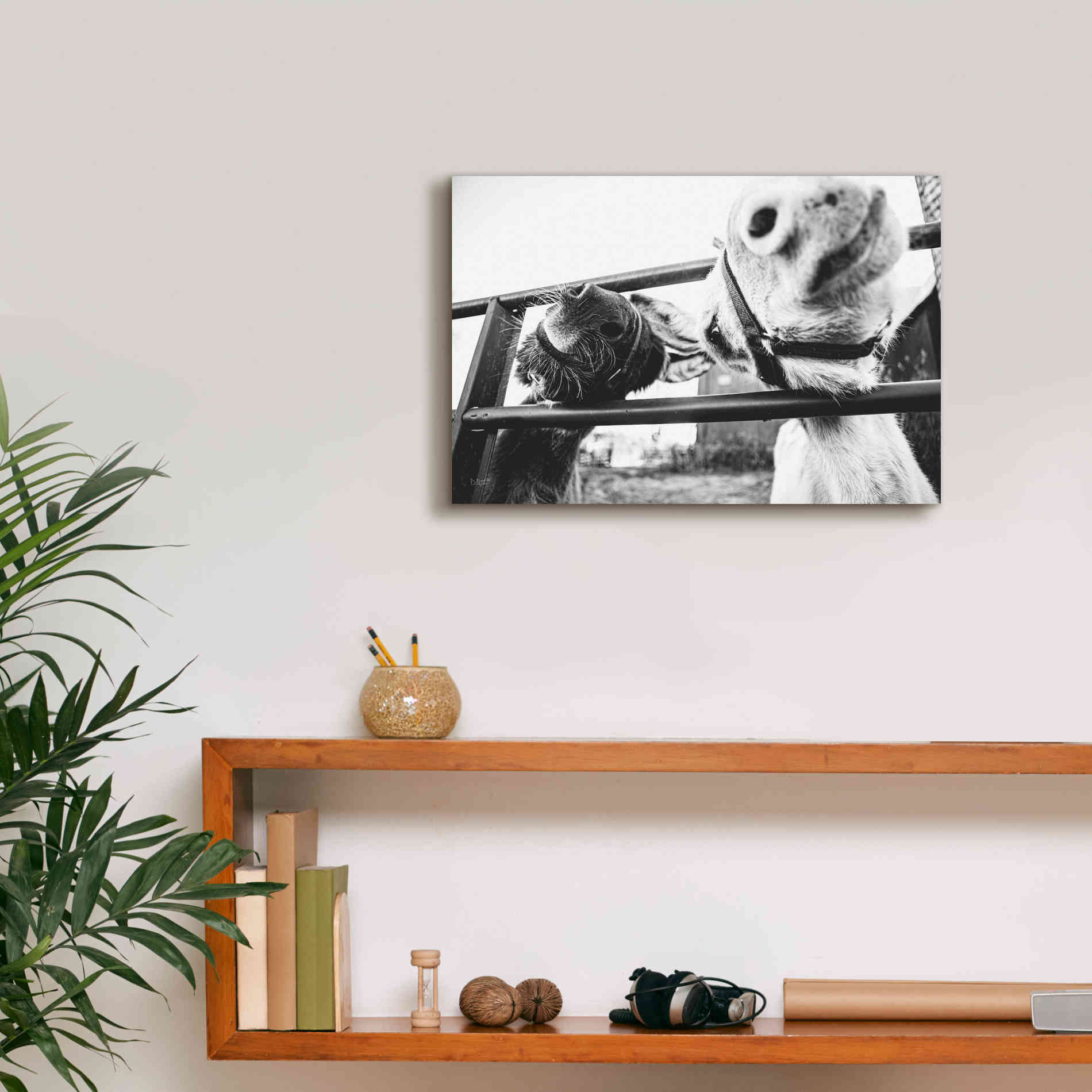 'Feeding Donkeys' by Donnie Quillen Canvas Wall Art,18 x 12
