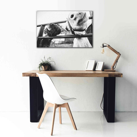 Image of 'Feeding Donkeys' by Donnie Quillen Canvas Wall Art,40 x 26