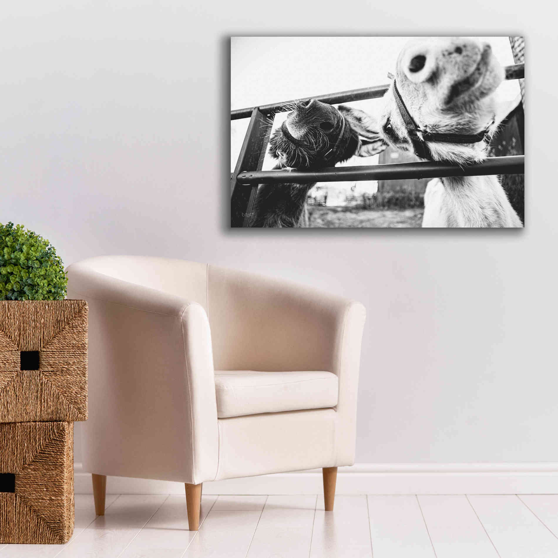 'Feeding Donkeys' by Donnie Quillen Canvas Wall Art,40 x 26