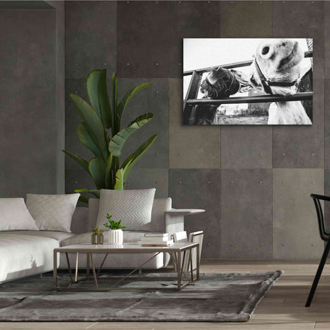 Image of 'Feeding Donkeys' by Donnie Quillen Canvas Wall Art,60 x 40