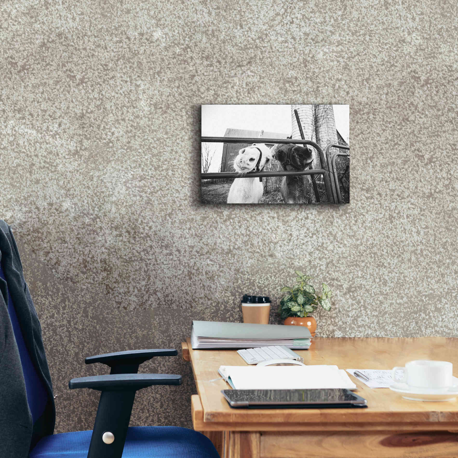 'Hey Donkeys I' by Donnie Quillen Canvas Wall Art,18 x 12