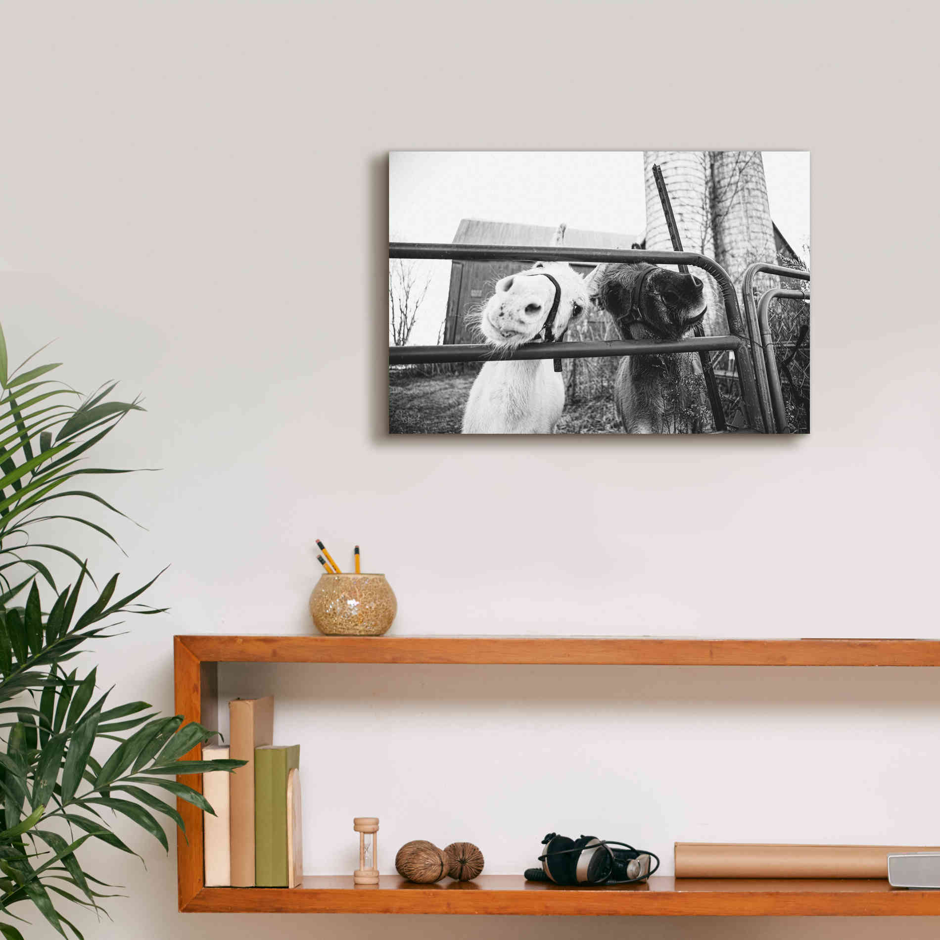 'Hey Donkeys I' by Donnie Quillen Canvas Wall Art,18 x 12