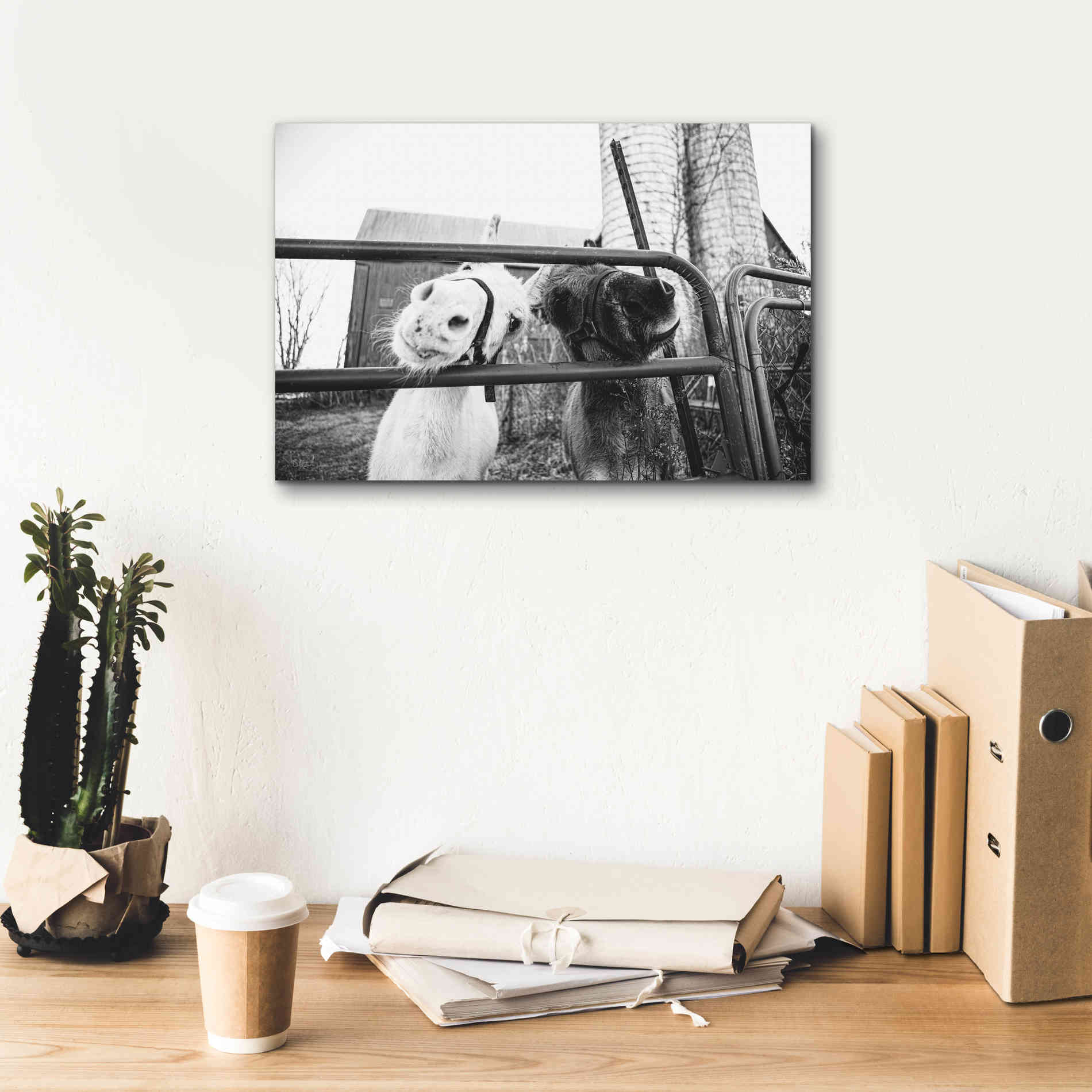 'Hey Donkeys I' by Donnie Quillen Canvas Wall Art,18 x 12