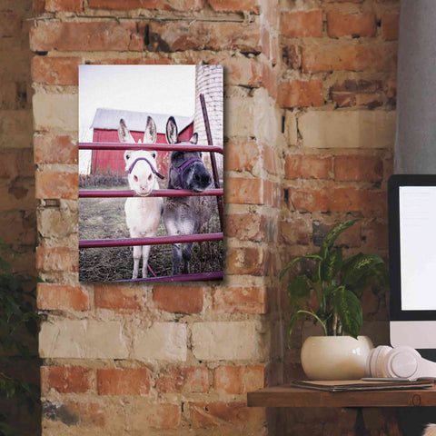 Image of 'Mommy & Daughter Donkeys' by Donnie Quillen Canvas Wall Art,12 x 18