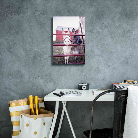 Image of 'Mommy & Daughter Donkeys' by Donnie Quillen Canvas Wall Art,12 x 18