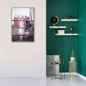 'Mommy & Daughter Donkeys' by Donnie Quillen Canvas Wall Art,26 x 40