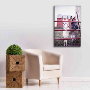 'Mommy & Daughter Donkeys' by Donnie Quillen Canvas Wall Art,26 x 40