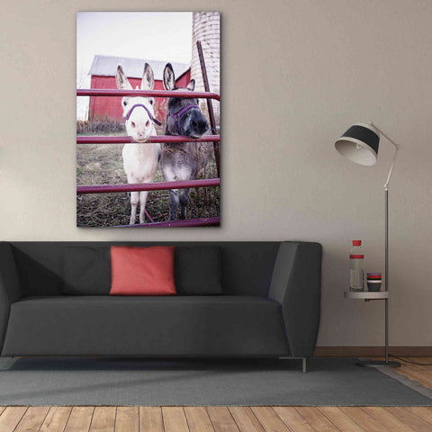 Image of 'Mommy & Daughter Donkeys' by Donnie Quillen Canvas Wall Art,40 x 60