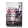 'Mommy & Daughter Donkeys' by Donnie Quillen Canvas Wall Art