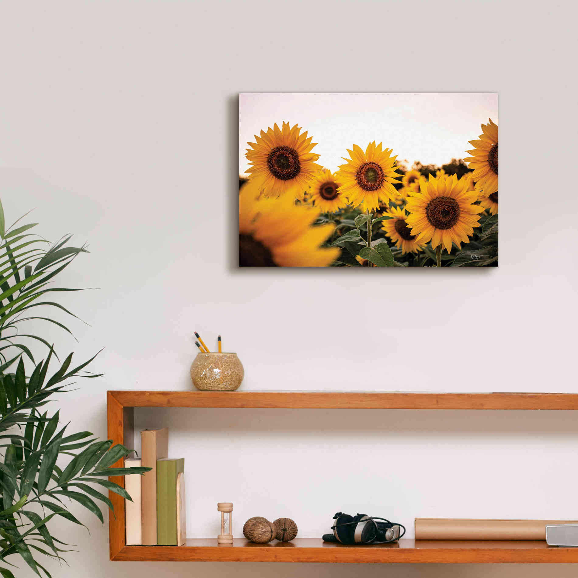 'Sunflower Field' by Donnie Quillen Canvas Wall Art,18 x 12