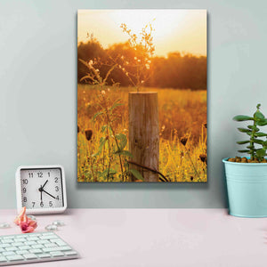 'Post' by Donnie Quillen Canvas Wall Art,12 x 16