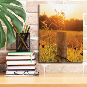 'Post' by Donnie Quillen Canvas Wall Art,12 x 16