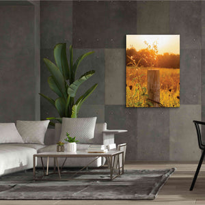 'Post' by Donnie Quillen Canvas Wall Art,40 x 54