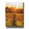'Post' by Donnie Quillen Canvas Wall Art
