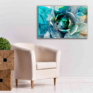 'Agave Abstract I' by Sisa Jasper Canvas Wall Art,40 x 26