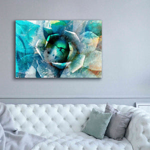 'Agave Abstract I' by Sisa Jasper Canvas Wall Art,60 x 40