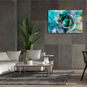 'Agave Abstract I' by Sisa Jasper Canvas Wall Art,60 x 40