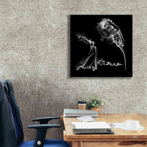 'Fearless Girl' Canvas Wall Art,26 x 26