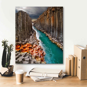 'Divided' Canvas Wall Art,20 x 24