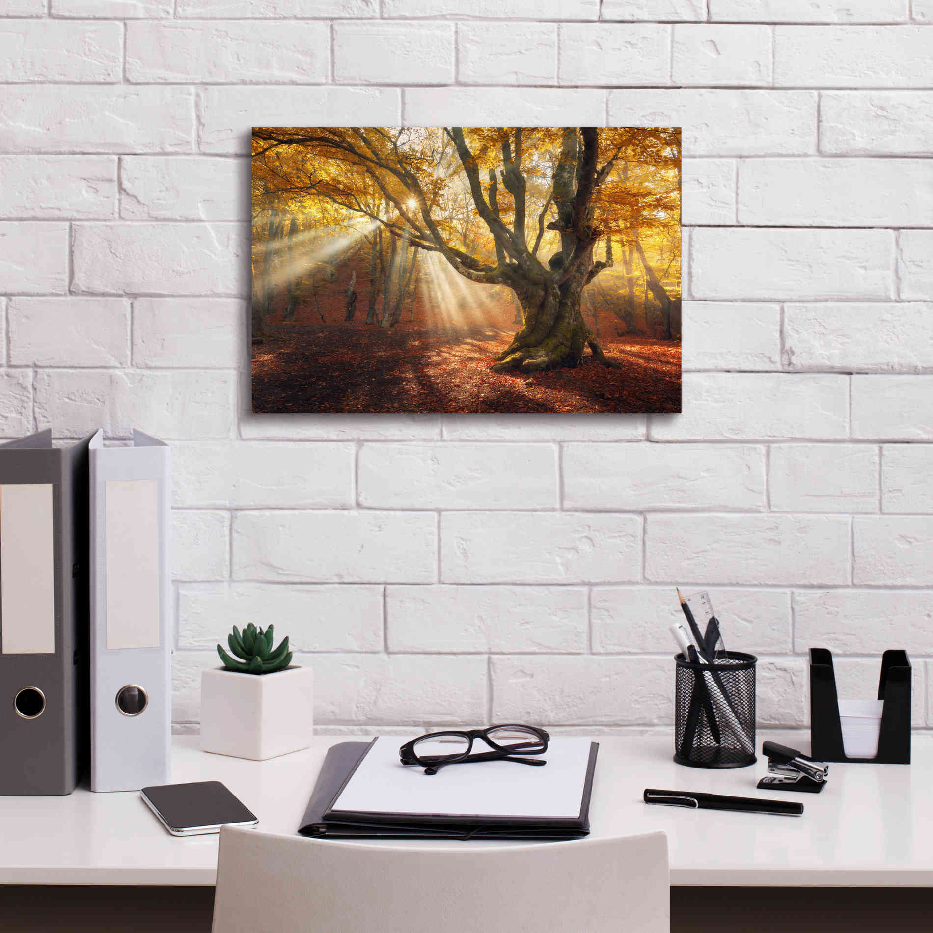 'Enchanted Forest' Canvas Wall Art,18 x 12