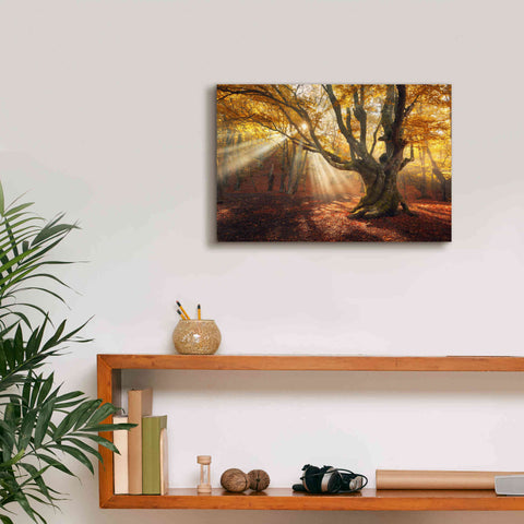 Image of 'Enchanted Forest' Canvas Wall Art,18 x 12