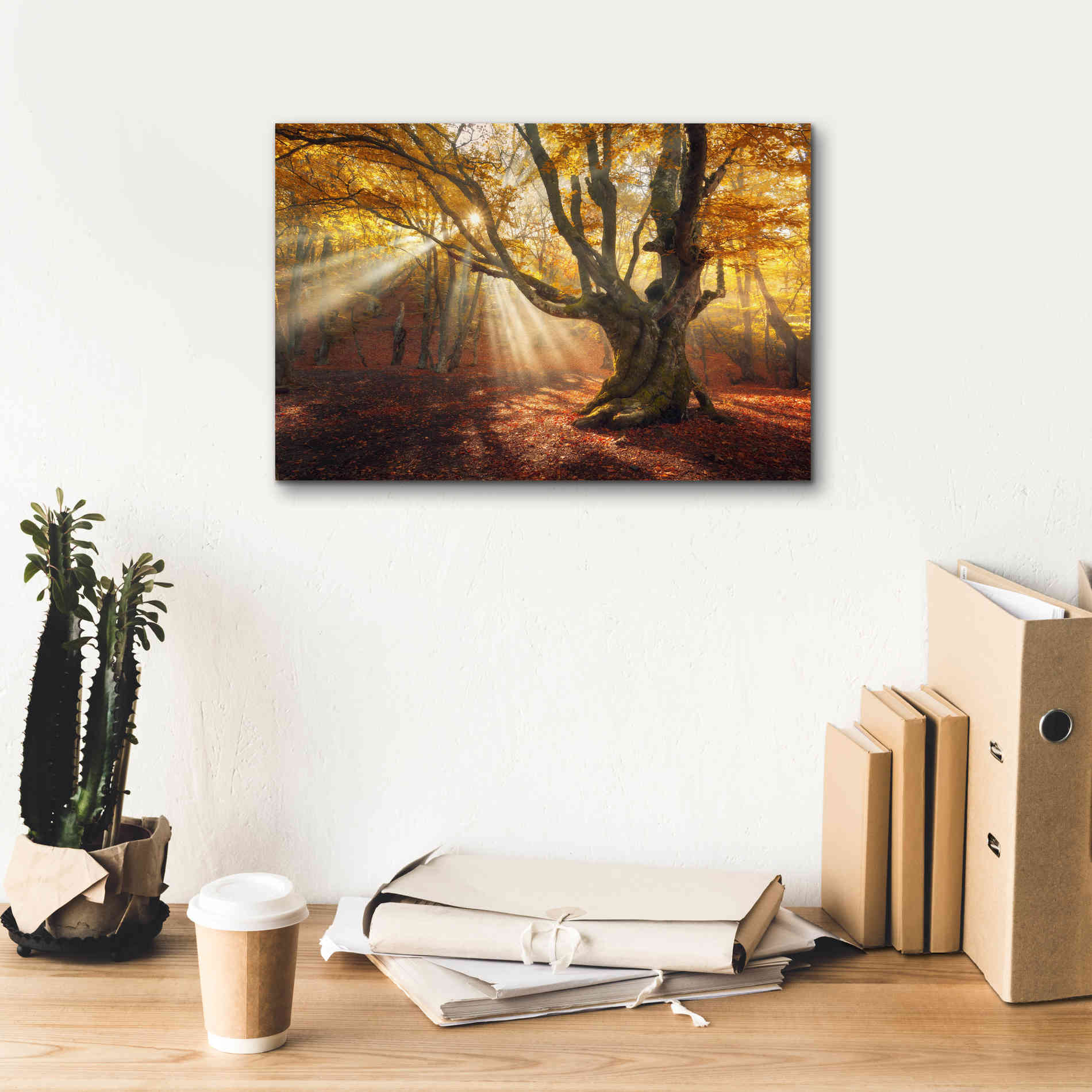 'Enchanted Forest' Canvas Wall Art,18 x 12