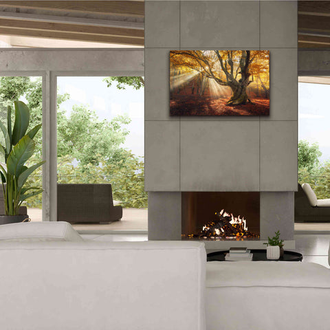 Image of 'Enchanted Forest' Canvas Wall Art,40 x 26
