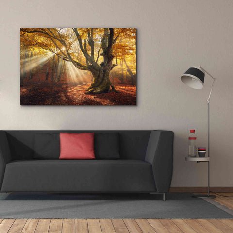 Image of 'Enchanted Forest' Canvas Wall Art,60 x 40