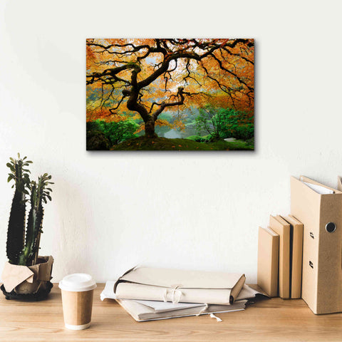 Image of 'Magical Autumn' Canvas Wall Art,18 x 12