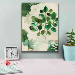 'Nature Story III' by Laura Horn, Canvas Wall Art,12 x 16