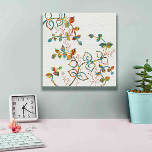 'Rainbow Vines with Berries Spice' by Kathy Ferguson, Canvas Wall Art,12 x 12