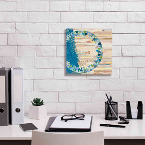 'The Calm and The Storm' by Kathy Ferguson, Canvas Wall Art,12 x 12