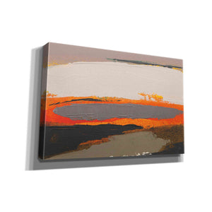 'Ceide Study I' by Grainne Dowling, Canvas Wall Art