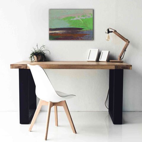 Image of 'Ceide Study XIII' by Grainne Dowling, Canvas Wall Art,26 x 18