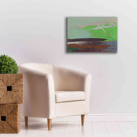 Image of 'Ceide Study XIII' by Grainne Dowling, Canvas Wall Art,26 x 18