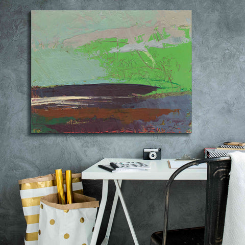 Image of 'Ceide Study XIII' by Grainne Dowling, Canvas Wall Art,34 x 26