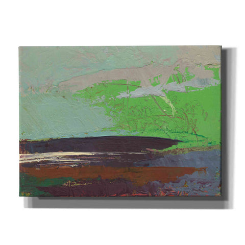 Image of 'Ceide Study XIII' by Grainne Dowling, Canvas Wall Art