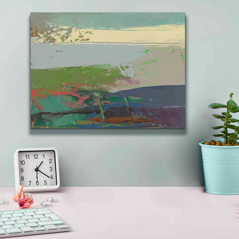 Image of 'Ceide Study XIV' by Grainne Dowling, Canvas Wall Art,16 x 12
