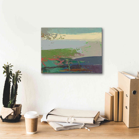 Image of 'Ceide Study XIV' by Grainne Dowling, Canvas Wall Art,16 x 12