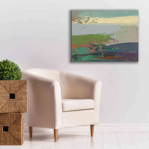 Image of 'Ceide Study XIV' by Grainne Dowling, Canvas Wall Art,34 x 26