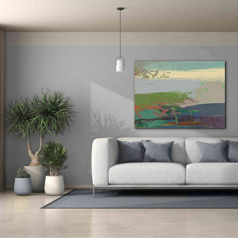 Image of 'Ceide Study XIV' by Grainne Dowling, Canvas Wall Art,54 x 40