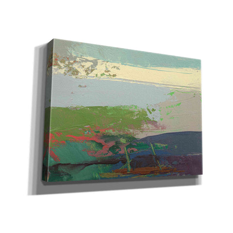 Image of 'Ceide Study XIV' by Grainne Dowling, Canvas Wall Art