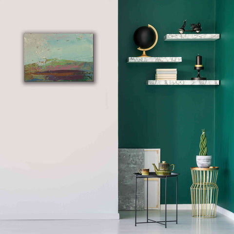 Image of 'Ceide Study XV' by Grainne Dowling, Canvas Wall Art,26 x 18