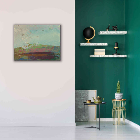 Image of 'Ceide Study XV' by Grainne Dowling, Canvas Wall Art,34 x 26