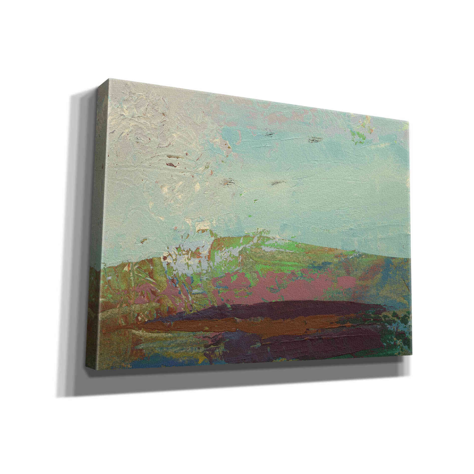 'Ceide Study XV' by Grainne Dowling, Canvas Wall Art