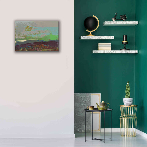 Image of 'Ceide Study XVI' by Grainne Dowling, Canvas Wall Art,26 x 18