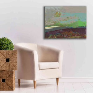 'Ceide Study XVI' by Grainne Dowling, Canvas Wall Art,34 x 26