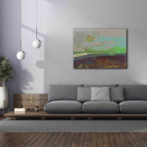'Ceide Study XVI' by Grainne Dowling, Canvas Wall Art,54 x 40